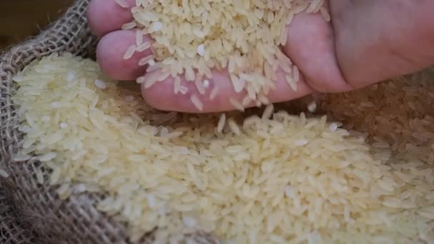 米粒装在袋子里 用你的手撒米 东部国家的谷物产品 — 图库视频影像