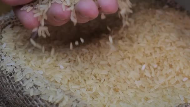 Reiskörner Einer Tüte Den Reis Mit Der Hand Verteilen Getreideerzeugnis — Stockvideo