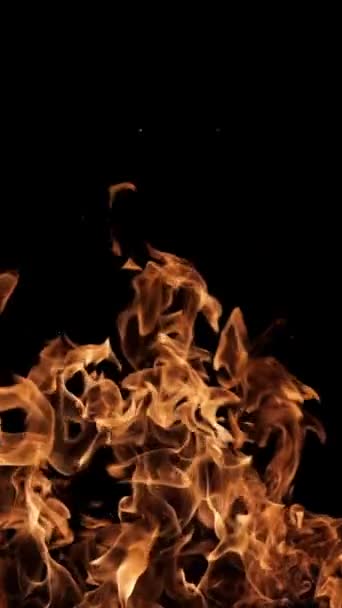 黑色背景上的火焰和火花 一场大篝火火灾和危险 在壁炉里烧木头 浪漫的火 夜间失火 垂直录像 火纹理 — 图库视频影像