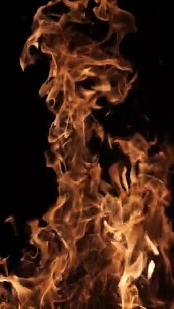 Flammes Étincelles Feu Sur Fond Noir Grand Feu Joie Incendie — Video