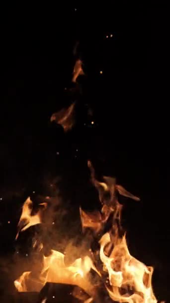 Пламя Искры Огня Черном Фоне Большой Костер Огонь Опасность Горящий — стоковое видео