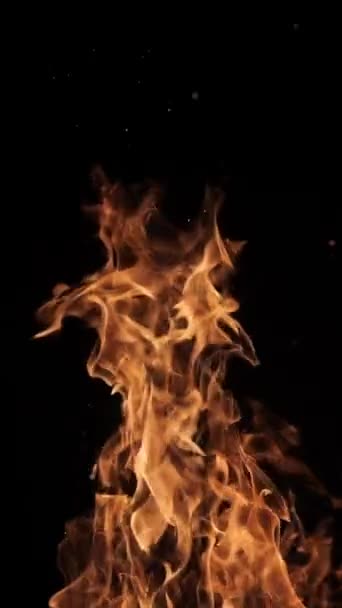 Flammes Étincelles Feu Sur Fond Noir Grand Feu Joie Incendie — Video
