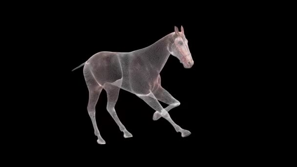 Silhouette Cavallo Rendering Illustrazione — стоковое видео
