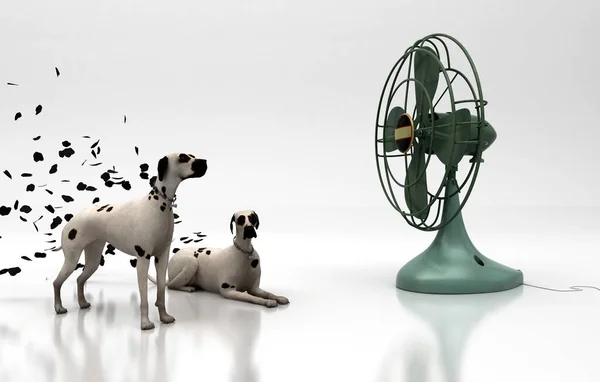Далматинські Собаки Вентилятором — стокове фото