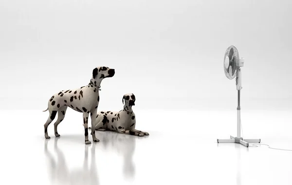 Dalmati Cani Con Ventilatore — Foto Stock