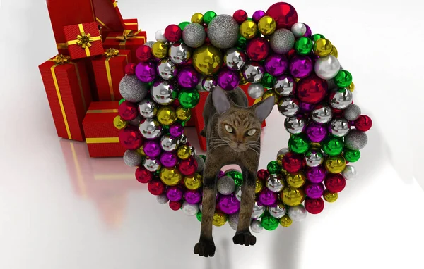 Kerstcompositie Kerstmis Nieuwjaarsachtergrond Met Een Geschenk Een Kat Een Kerstboom — Stockfoto