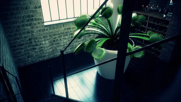 Design Moderne Dans Style Loft Plante Dans Pot — Photo
