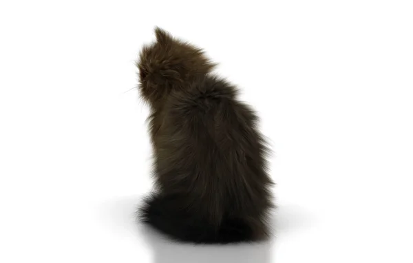 白い背景に黒猫の3Dレンダリング — ストック写真