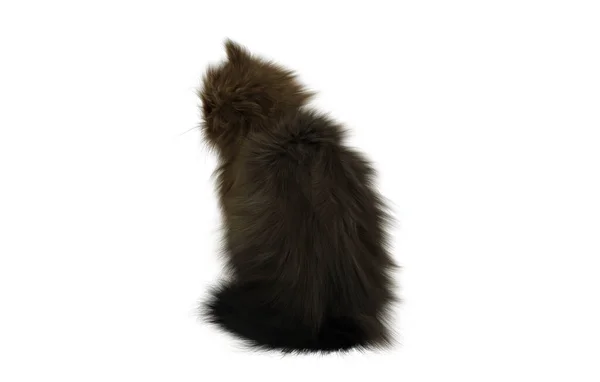 Representación Gato Negro Sobre Fondo Blanco —  Fotos de Stock