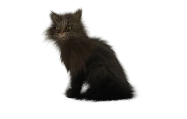 Renderelés Egy Fekete Macska Fehér Háttér — Stock Fotó