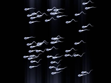 sperm. Spermin vektör çizimi. 