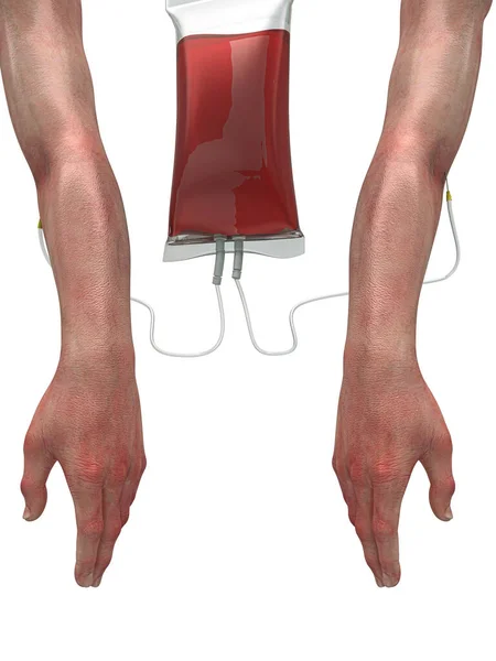 Human Hands Red Blood White Background — Stock Photo, Image