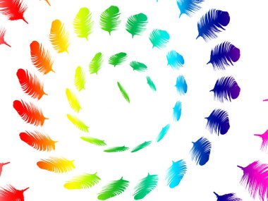 Farklı dekoratif tüyler.  