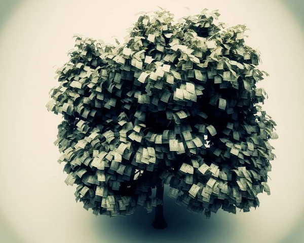 Árvore Dinheiro Fundo Branco — Fotografia de Stock