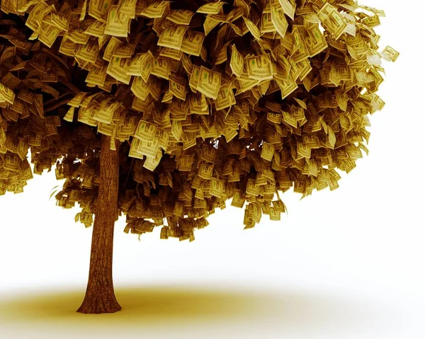 Árvore Dinheiro Fundo Branco — Fotografia de Stock
