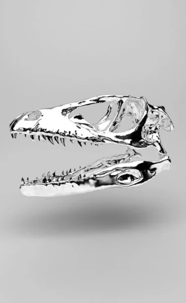 Beyaz Arka Planda Bir Iskelet Kafatasının Gümüş Görüntüsü — Stok fotoğraf