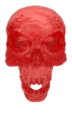 Beyaz arka planda bir insan kafatasının 3 boyutlu görüntüsü