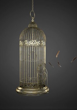 Boş metal kuş kafesi, başıboş kuşlar.