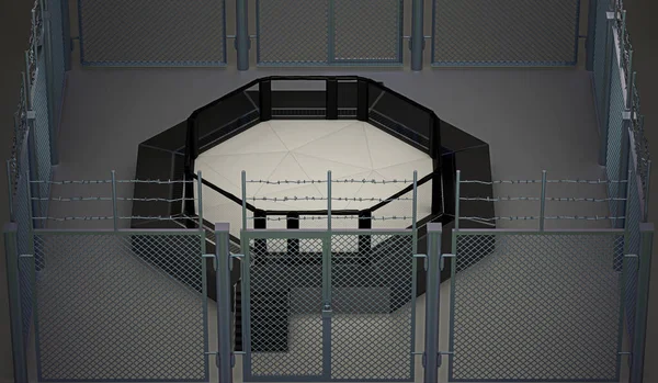 Octagon Cage Net Mma Fighting Rendering — Stock Photo, Image