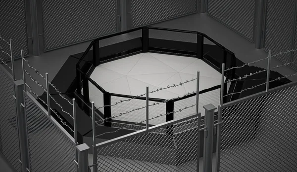 Mma戦闘 3Dレンダリングのためのネットと八角形のケージ — ストック写真