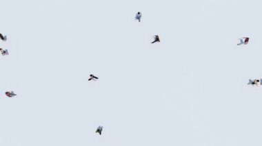 Yürüyen insanlarla soyut animasyon 