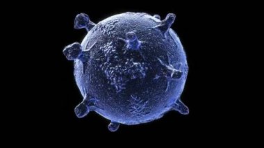 Bir virüsün tıbbi görselleştirmesi, 3D görüntüleme