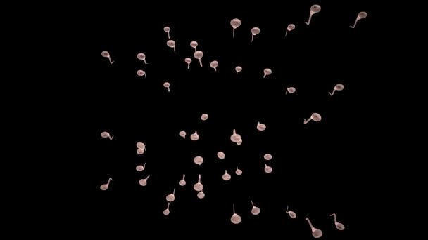 Insemination Female Egg Sperm Medical Visualization Rendering — Stock Video