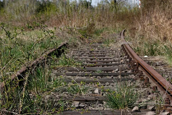 Verlaten Spoorlijnen Met Gras — Stockfoto