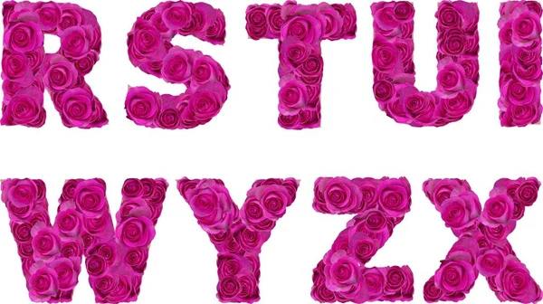 Γραμματοσειρά Ροζ Τριαντάφυλλα — Φωτογραφία Αρχείου