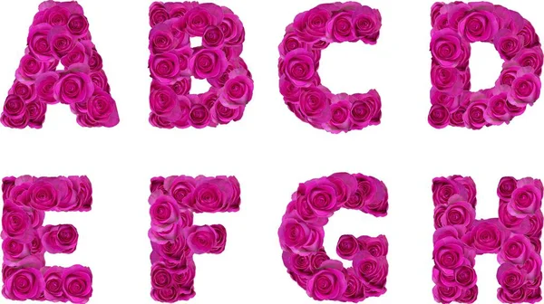 Lettertype Met Roze Rozen — Stockfoto