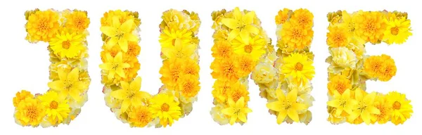 Słowo Czerwiec Żółtymi Kwiatami — Zdjęcie stockowe