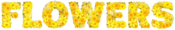 Slovo Květiny Žlutými Květy — Stock fotografie