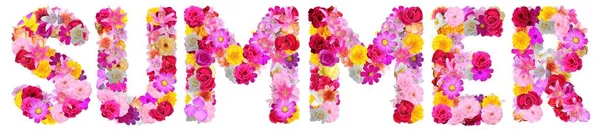 Слово Лето Разноцветными Цветками — стоковое фото