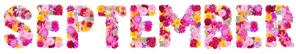 Slovo Září Různými Pestrobarevnými Květy — Stock fotografie