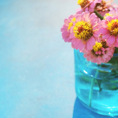 Bahçeden çingene çiçekleri, anneler günü için fotokopi alanı ile izole edilmiş.