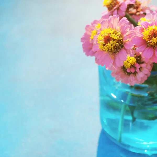 Zinnia flowers from garden, isolated with copy space for mothers day