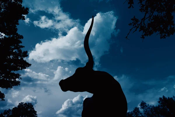 德克萨斯长角牛轮廓与戏剧性的蓝天背景作为横幅 — 图库照片