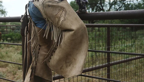 Ranch Hand Visar Chaps Arbetar Cowboy För Västerländska Slitage Livsstil — Stockfoto