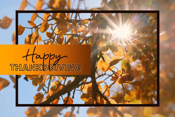 Autumn Thanksgiving Day Background Orange Autumn Leaves — Stock Photo, Image