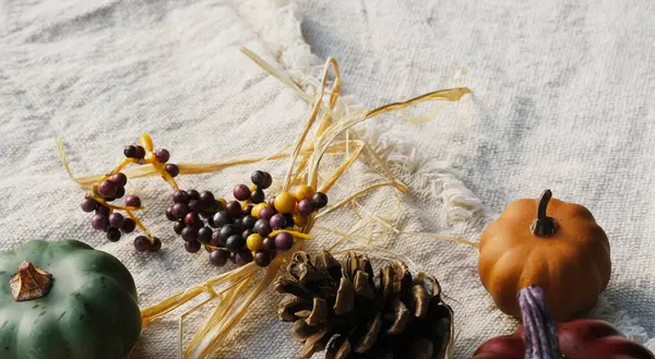 close-up shot of seasonal fall decorations on fabric texture background for thanksgiving decor