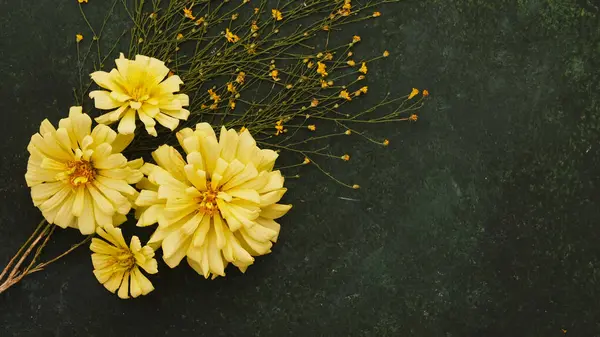 Beautiful Yellow Flowers Dark Background 로열티 프리 스톡 사진