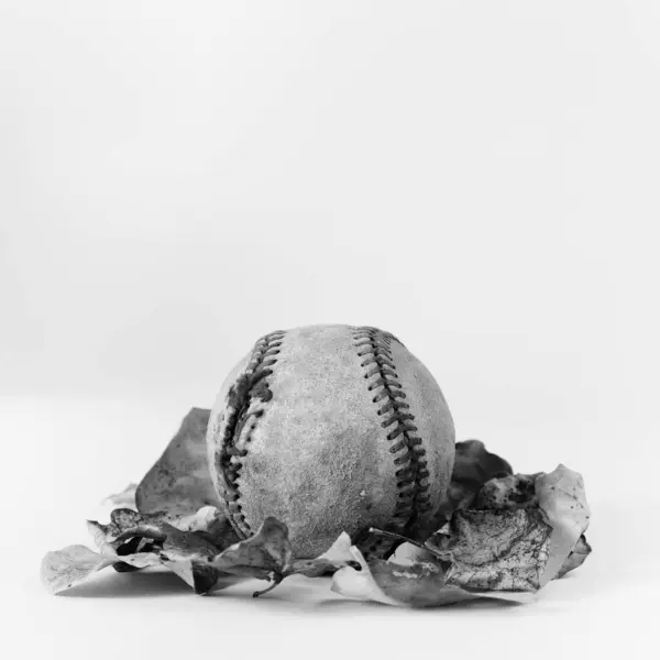 Old Leather Baseballs Black White Vintage Sports Background Royalty Free Stock Photos