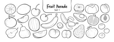 Beyaz ovada, temiz siyah ana hatlarıyla çizilmiş bir dizi meyve çizimi. Menü, boyama kitapları, ambalaj, dijital ve yazdırma kullanımı için tamamen izole ve mükemmel.