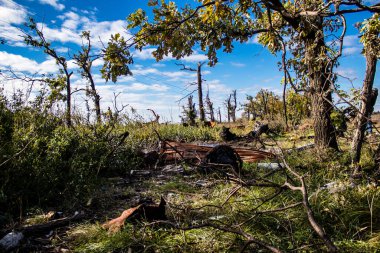 Ukrayna 'daki savaş - 26 Ekim 2022 Ukrayna' da Kherson yakınlarında, Rus ordusu yenildikten sonra, Ukrayna taarruzu bir başarı ve sayısız Rus kaybı oldu.