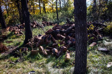 Ukrayna 'daki savaş - 26 Ekim 2022 Ukrayna' da Kherson yakınlarında, Rus ordusu yenildikten sonra, Ukrayna taarruzu bir başarı ve sayısız Rus kaybı oldu.