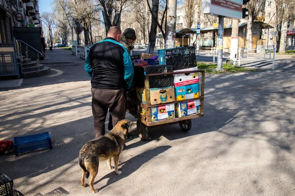 Bir bahçıvan sebzelerini Kherson 'da bir sokak köşesinde satıyor. Sabahın sonunda, güvenlik nedenlerinden dolayı Rus bombardıman alarmı yüzünden market bahçıvanı faaliyetlerini durdurur ve satılmamış sebzeleri alır. İşine devam edecek.