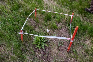 Vasylenkove, Ukrayna - 20 Nisan 2023 Rus anti-tank, anti-personel ve mayıncılar tarafından toplanan patlayıcı mayınlar. Rus ordusu tarafından çok sayıda savunma ve saldırı patlayıcıları kullanıldı. Patlayıcıları halk için tehlike arz ediyor.