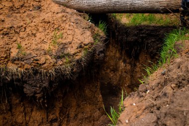113. Harkiv Savunma Tugayı 'nın 209. Taburu' nun siperleri. Bu tugayın görevi Rus ordusunun tam önünde mevzilenmek ve tüm düşman saldırılarını püskürtmek..
