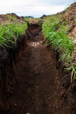 113. Harkiv Savunma Tugayı 'nın 209. Taburu' nun siperleri. Bu tugayın görevi Rus ordusunun tam önünde mevzilenmek ve tüm düşman saldırılarını püskürtmek..