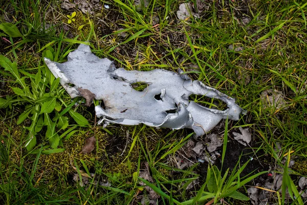 Harkiv cephesindeki yıkılmış bina, Rus ordusu sivil hedefleri bombaladı ve çok fazla hasara yol açtı. Bu bölgede şiddetli çatışmalar yaşandı..
